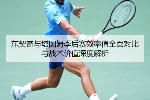 东契奇与塔图姆季后赛效率值全面对比与战术价值深度解析